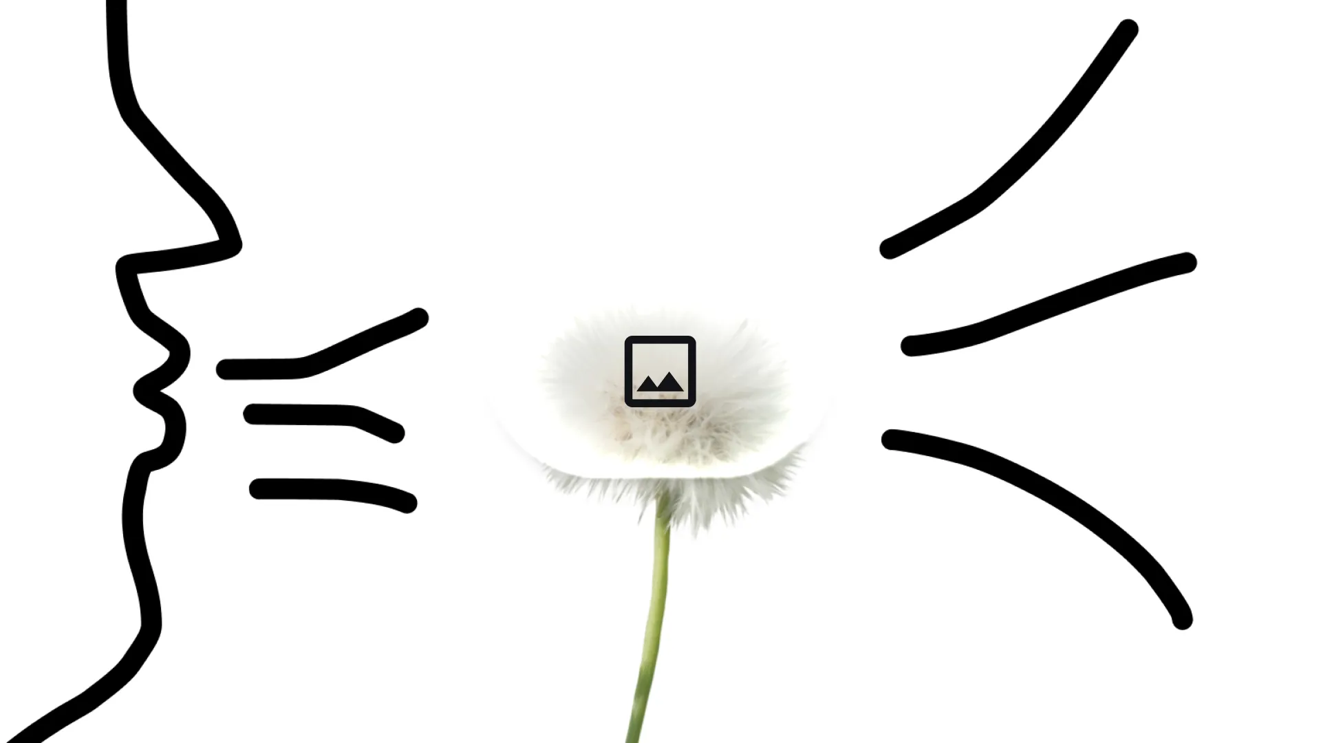 Hand-drawn dandelion sketch